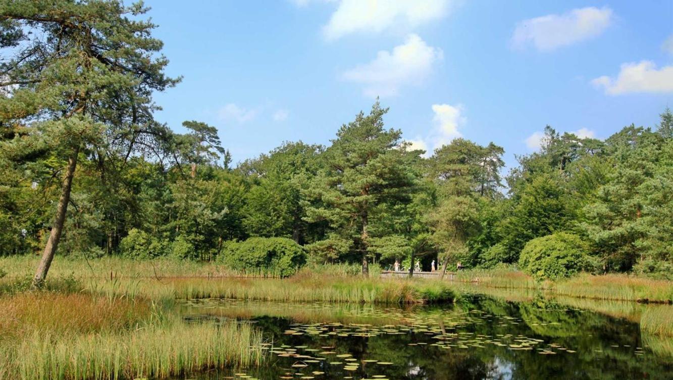 Comfortabel Chalet In Nationaal Park Wateren Kültér fotó